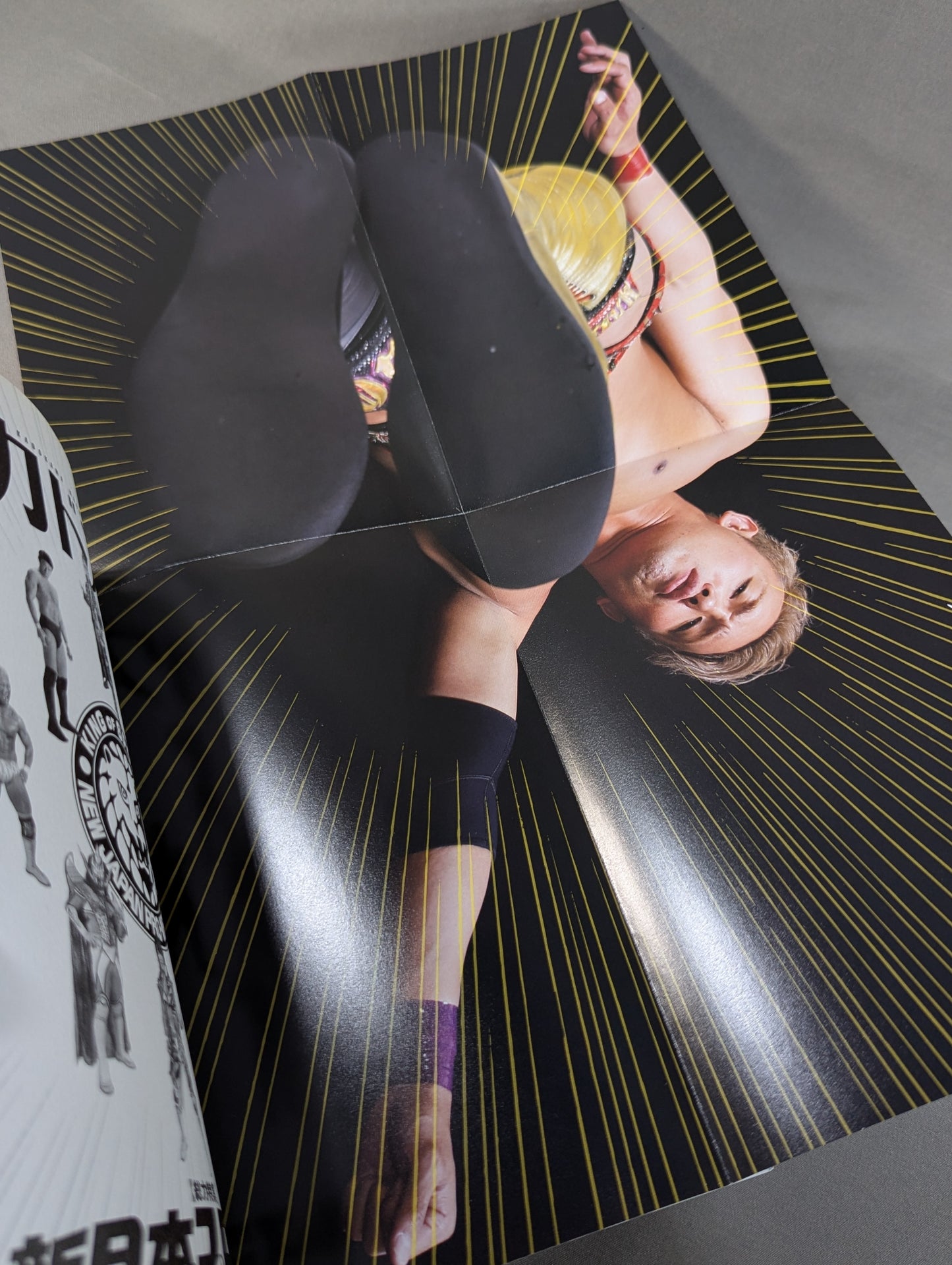 別冊カドカワ 総力特集 新日本プロレス2016→2017