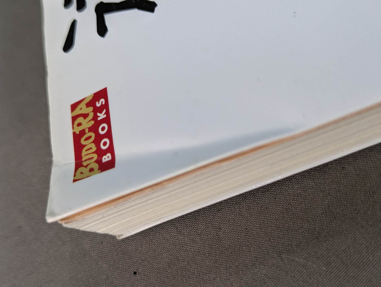 【DVD付】達人シリーズ第弐巻 蘇る空手最強伝説