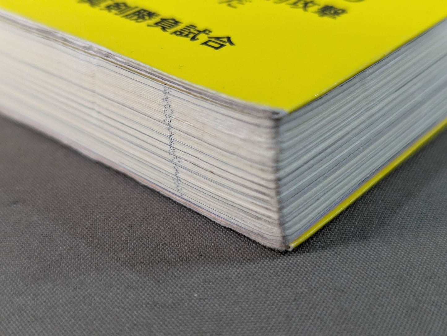 【DVD付】達人シリーズ第弐巻 蘇る空手最強伝説