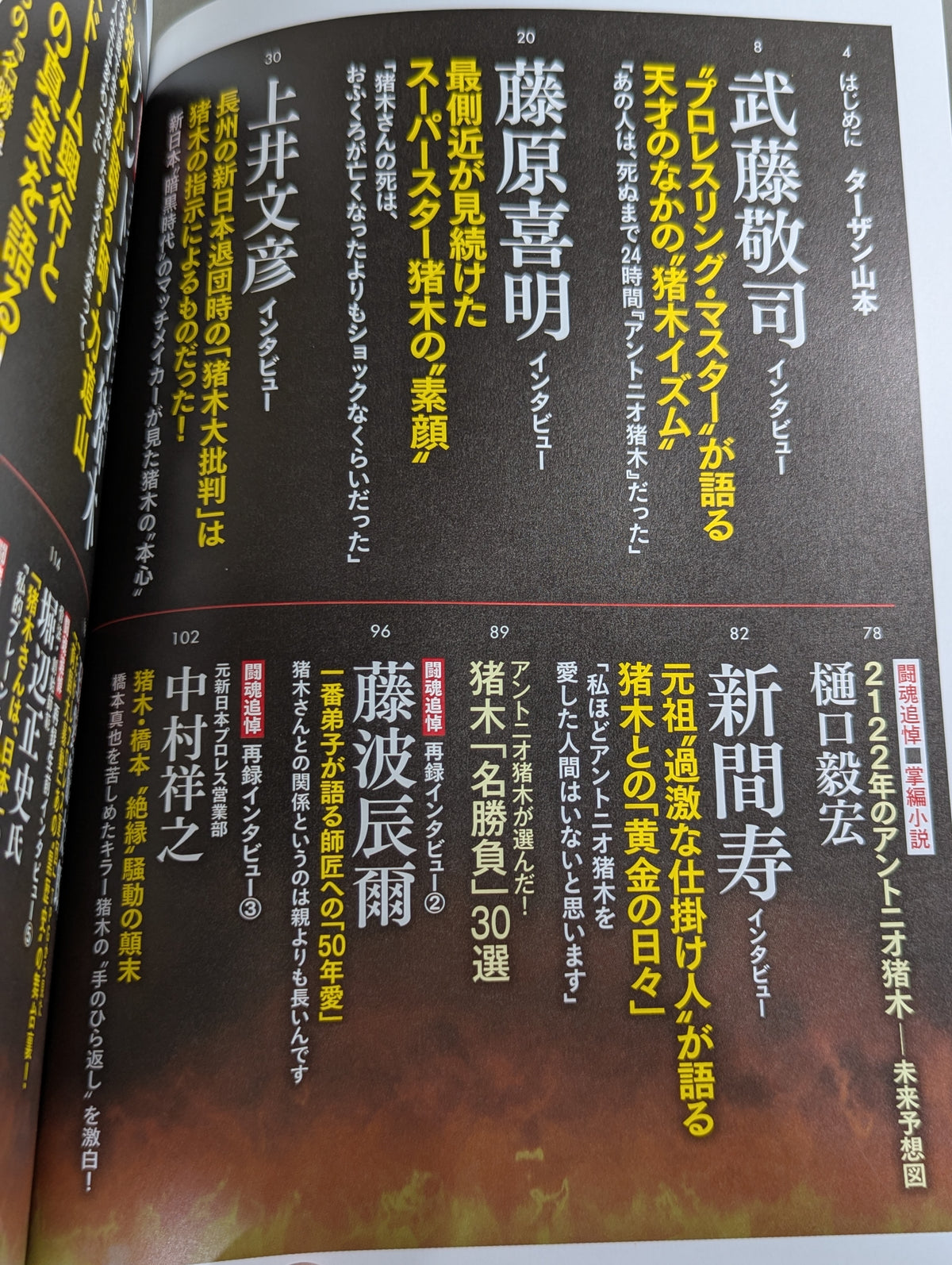 Series Paradoxical Pro Wrestling Vol.22 Memorial Testimony Antonio Inoki "Fighting Spirit Constellation in the Night Sky" Legend