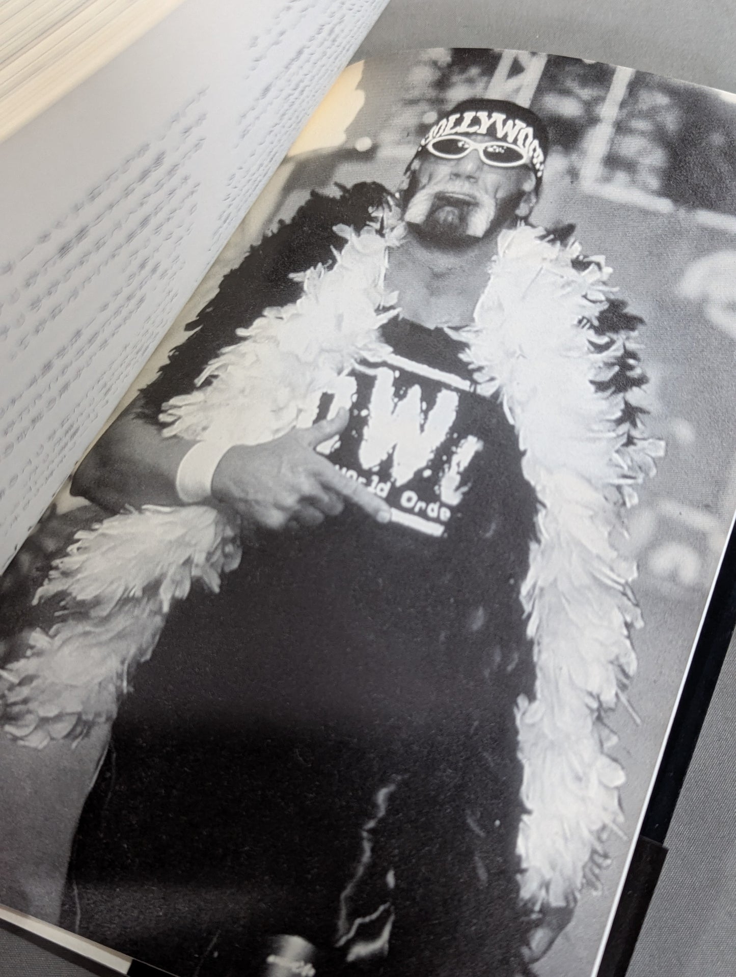 ハルク・ホーガン自伝 Hollywood Hulk Hogan