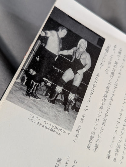 ハルク・ホーガン自伝 Hollywood Hulk Hogan