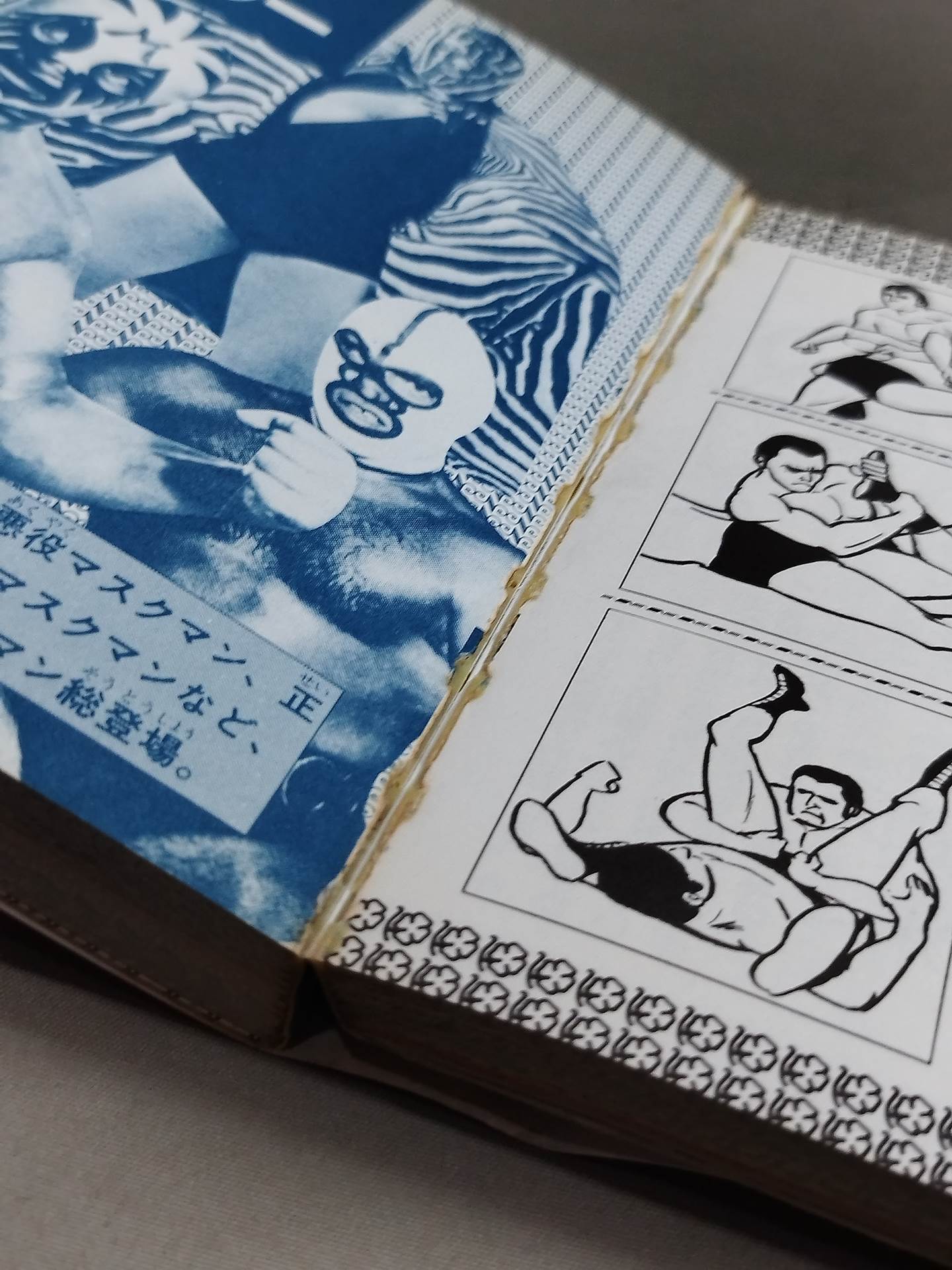 Super Encyclopedia Series (1) Monster Monster Pro Wrestling  Super Encyclopedia