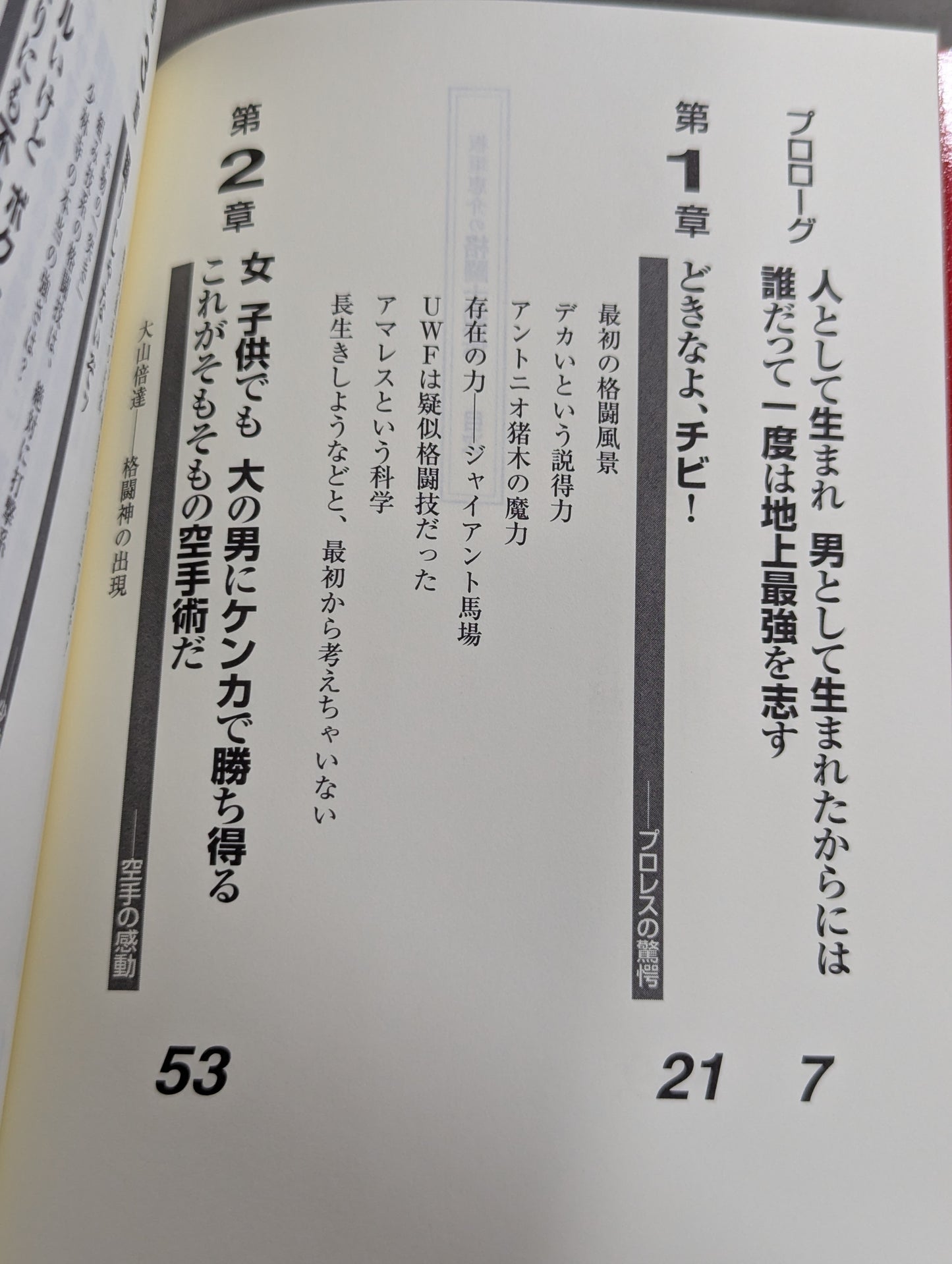 板垣恵介の格闘士烈伝 (グラップラー列伝)