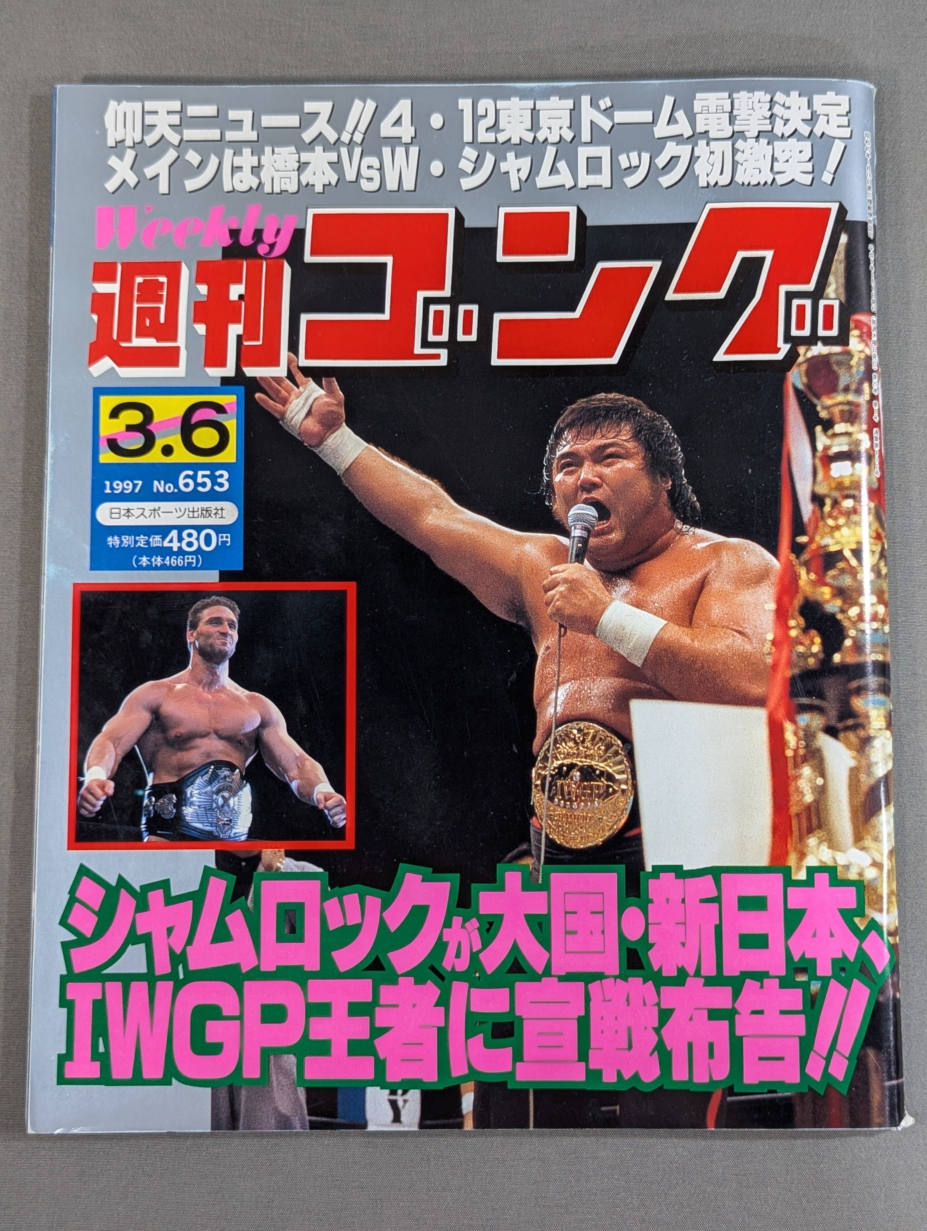 週刊ゴング653 – 闘道館