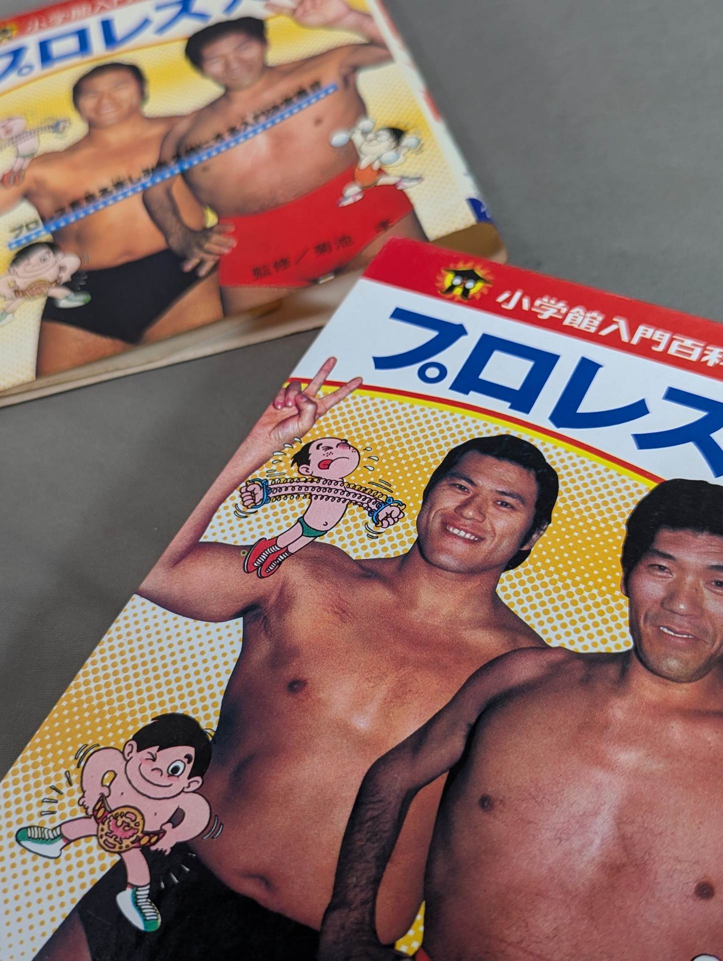 プロレス入門 小学館入門百科シリーズ⑨(表紙:BI砲・ピースサイン
