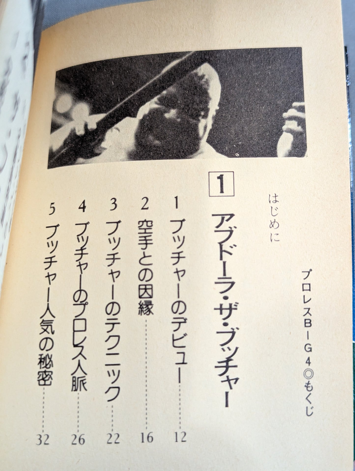 豆たぬきの本145  プロレスビッグ4