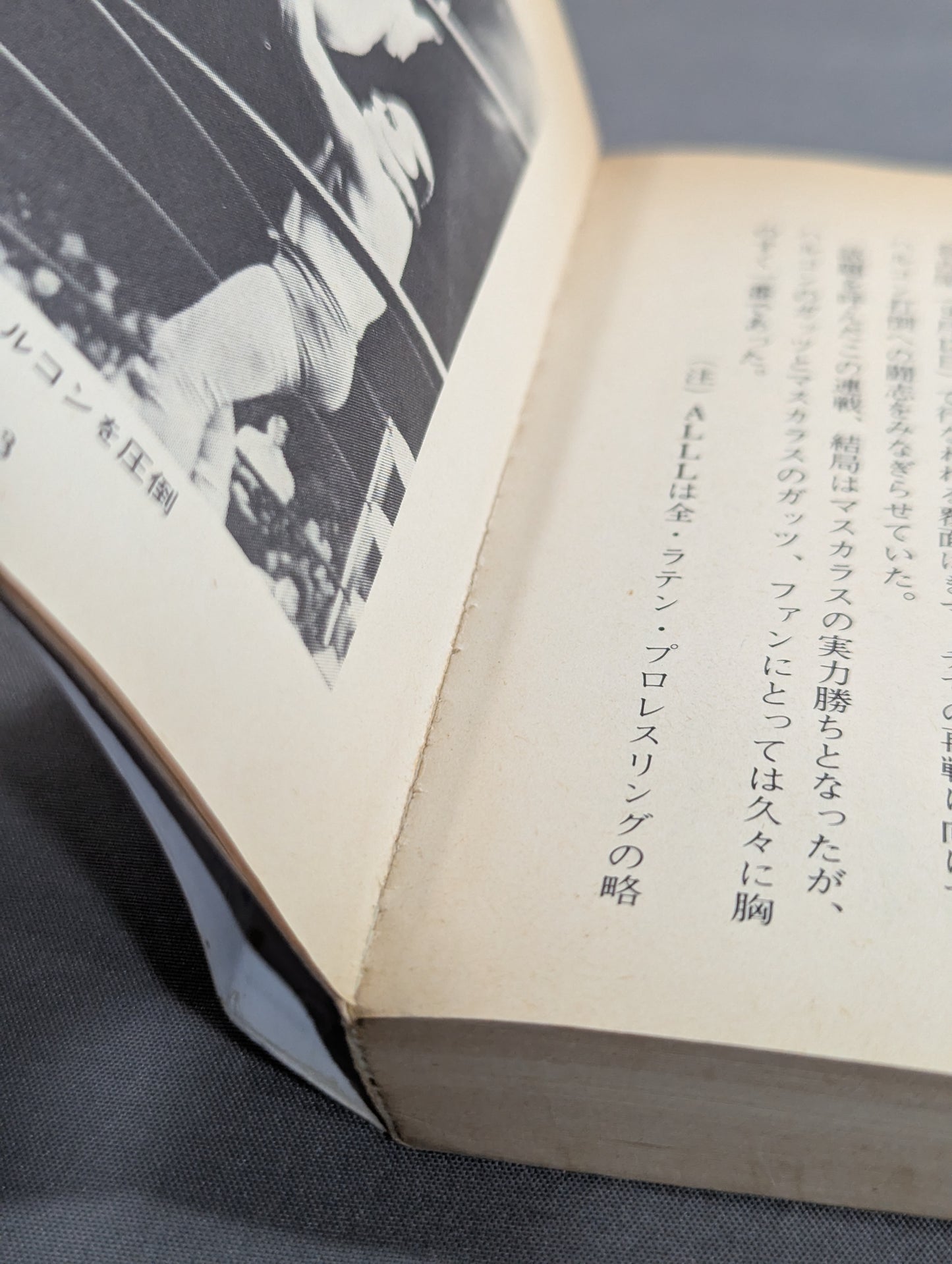 豆たぬきの本145  プロレスビッグ4
