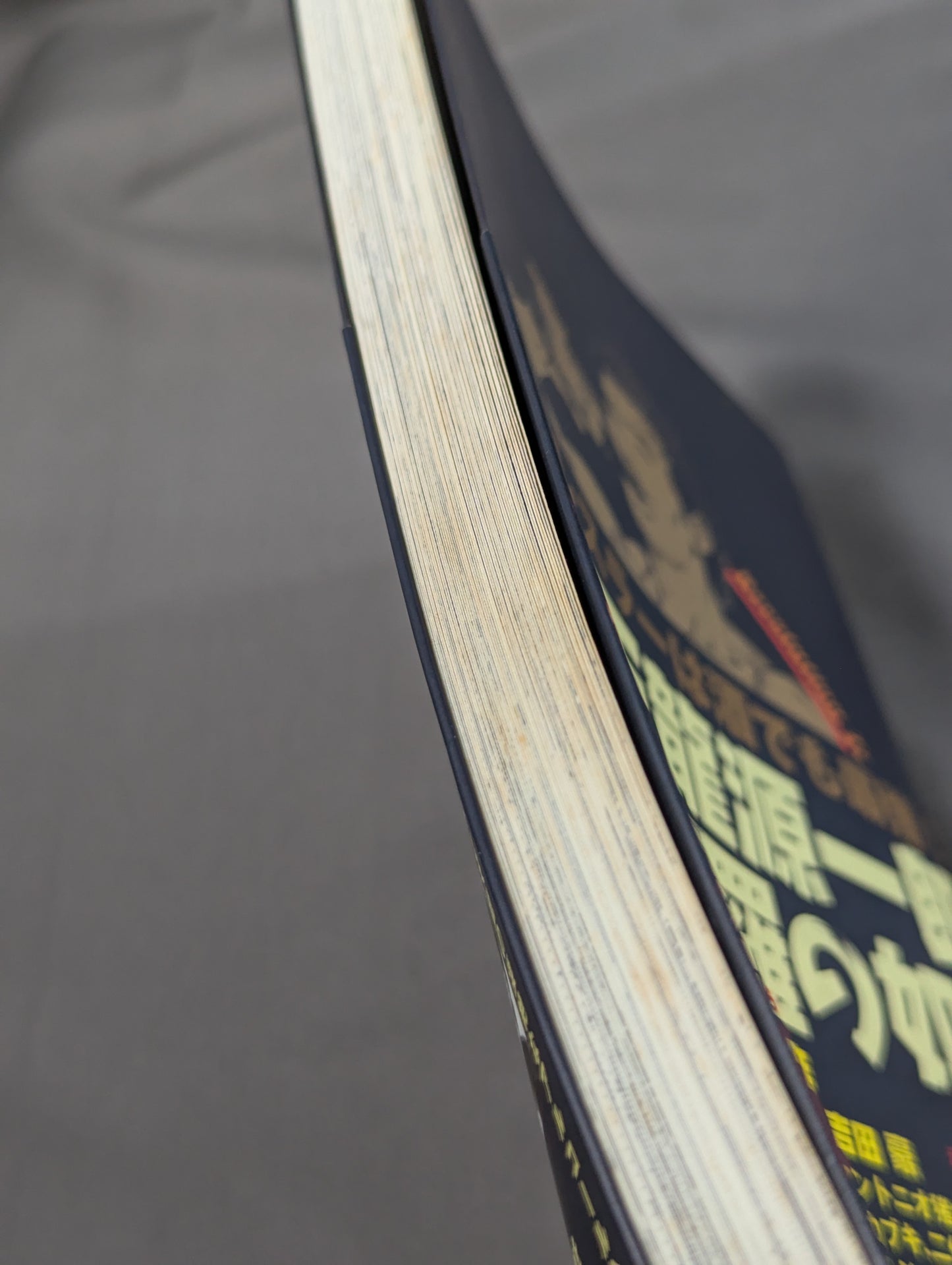 Tenryu  Genichiro Like Sake