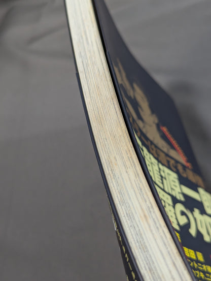 Tenryu  Genichiro Like Sake