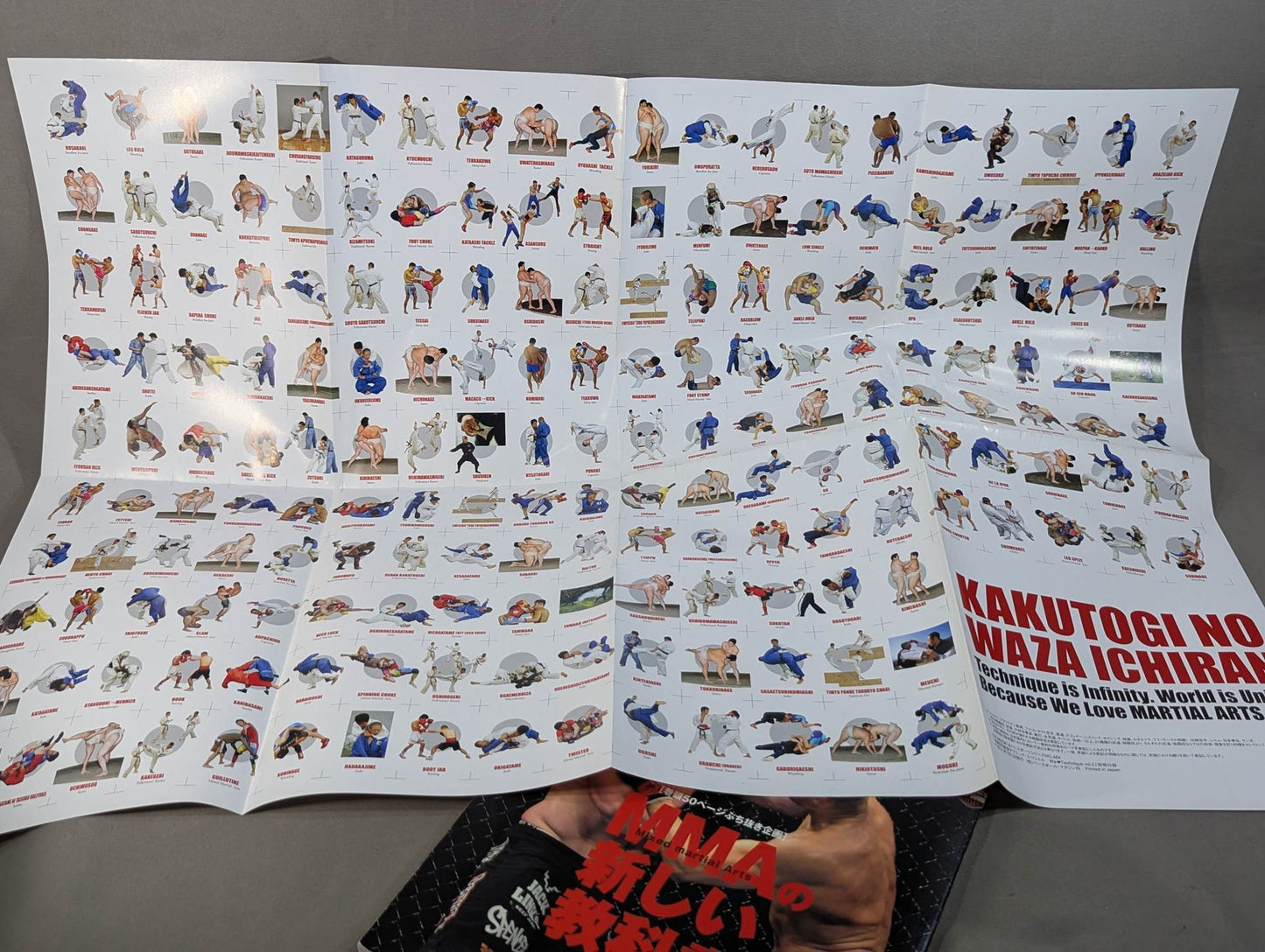 Martial Arts Communication Technique Special vol.2 We love Technique