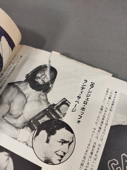 プロレス風雲録 リングにロマンを賭けた戦士たち