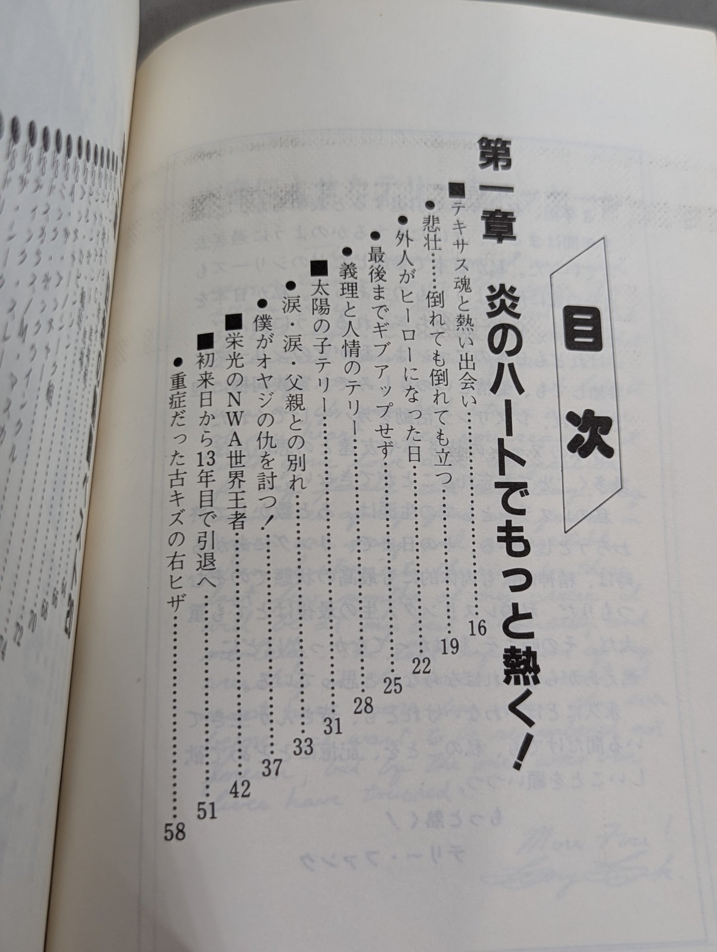 もっと熱く! テリー・ファンク