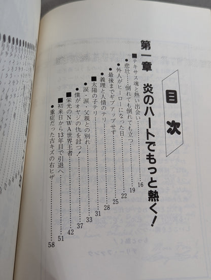 もっと熱く! テリー・ファンク