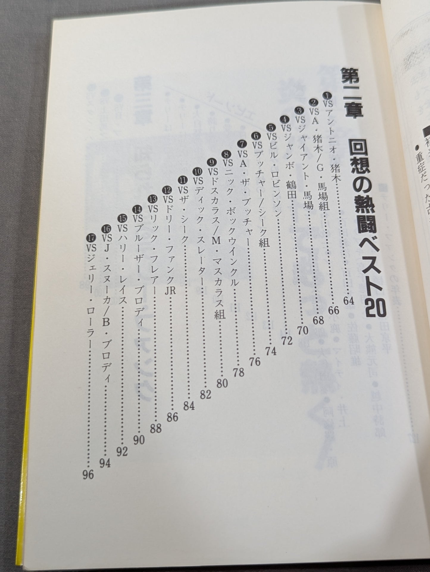 もっと熱く! テリー・ファンク