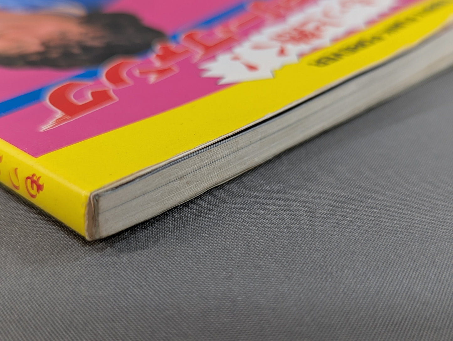 もっと熱く! テリー・ファンク