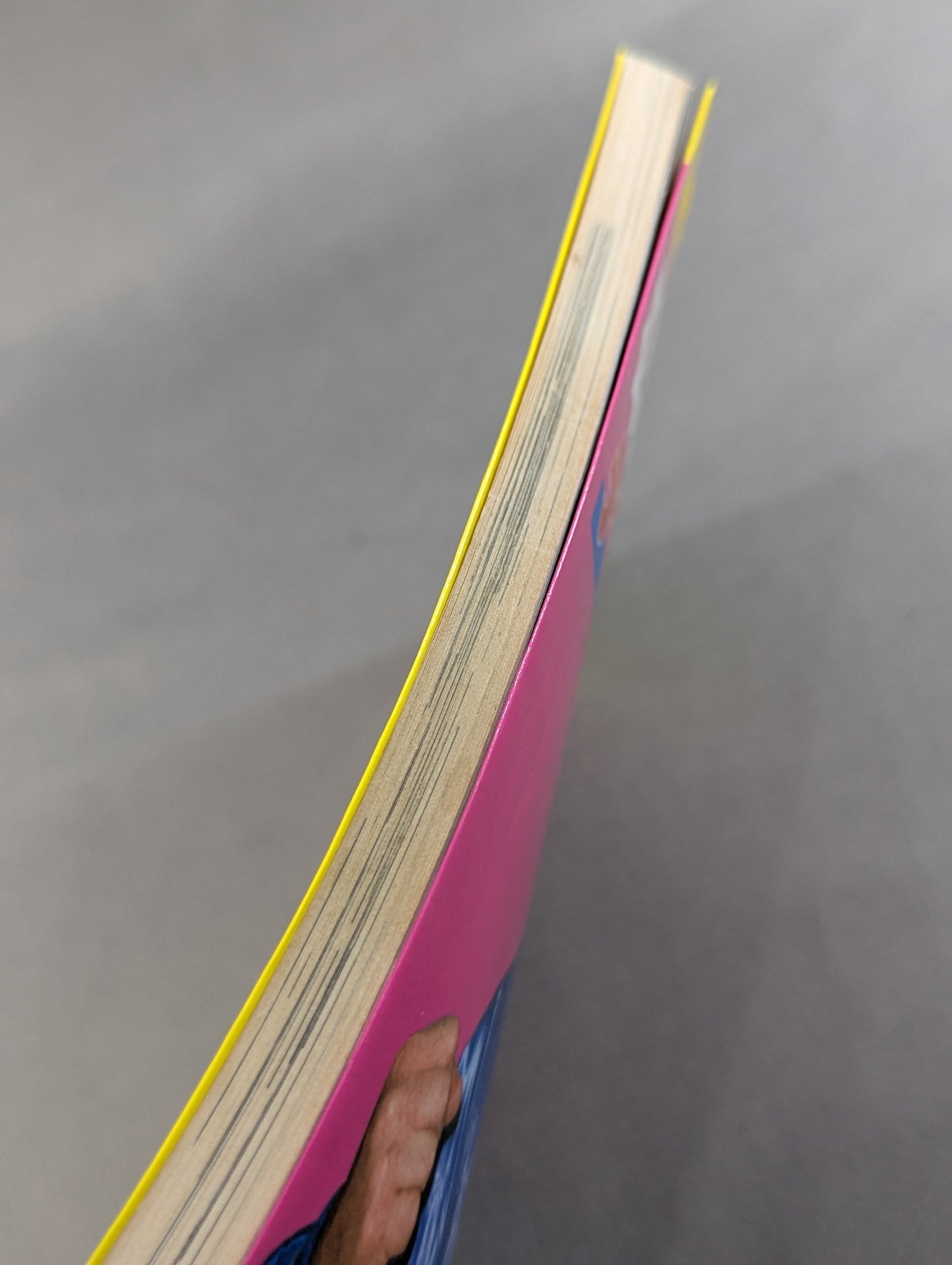 もっと熱く! テリー・ファンク