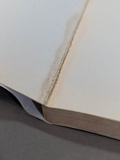 燃えよ士道魂 わが青春の闘い