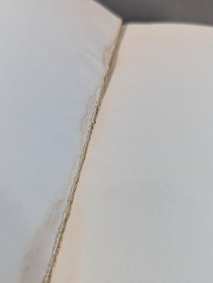 燃えよ士道魂 わが青春の闘い