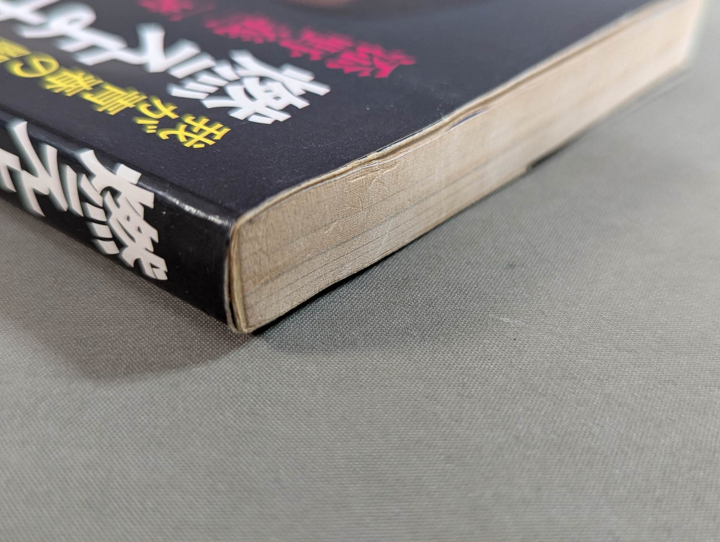 燃えよ士道魂 わが青春の闘い