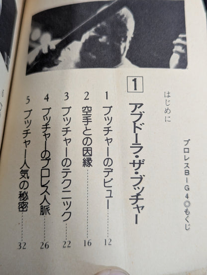 プロレスビッグ4 豆たぬきの本145