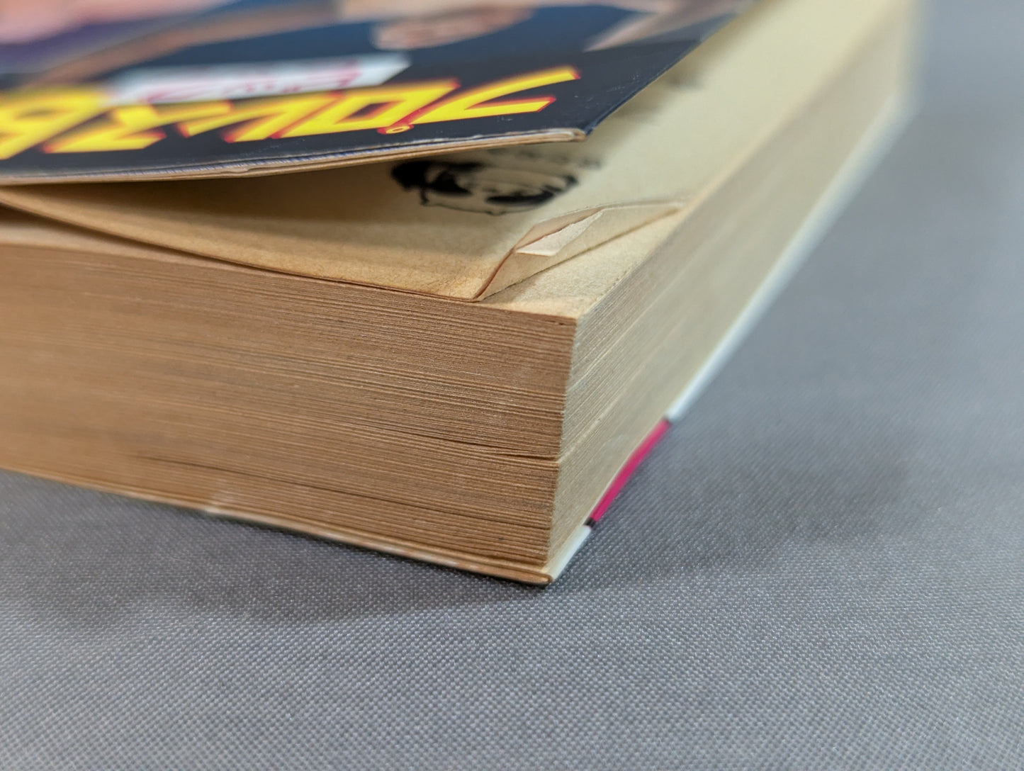 プロレスビッグ4 豆たぬきの本145