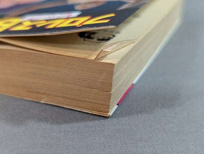 プロレスビッグ4 豆たぬきの本145