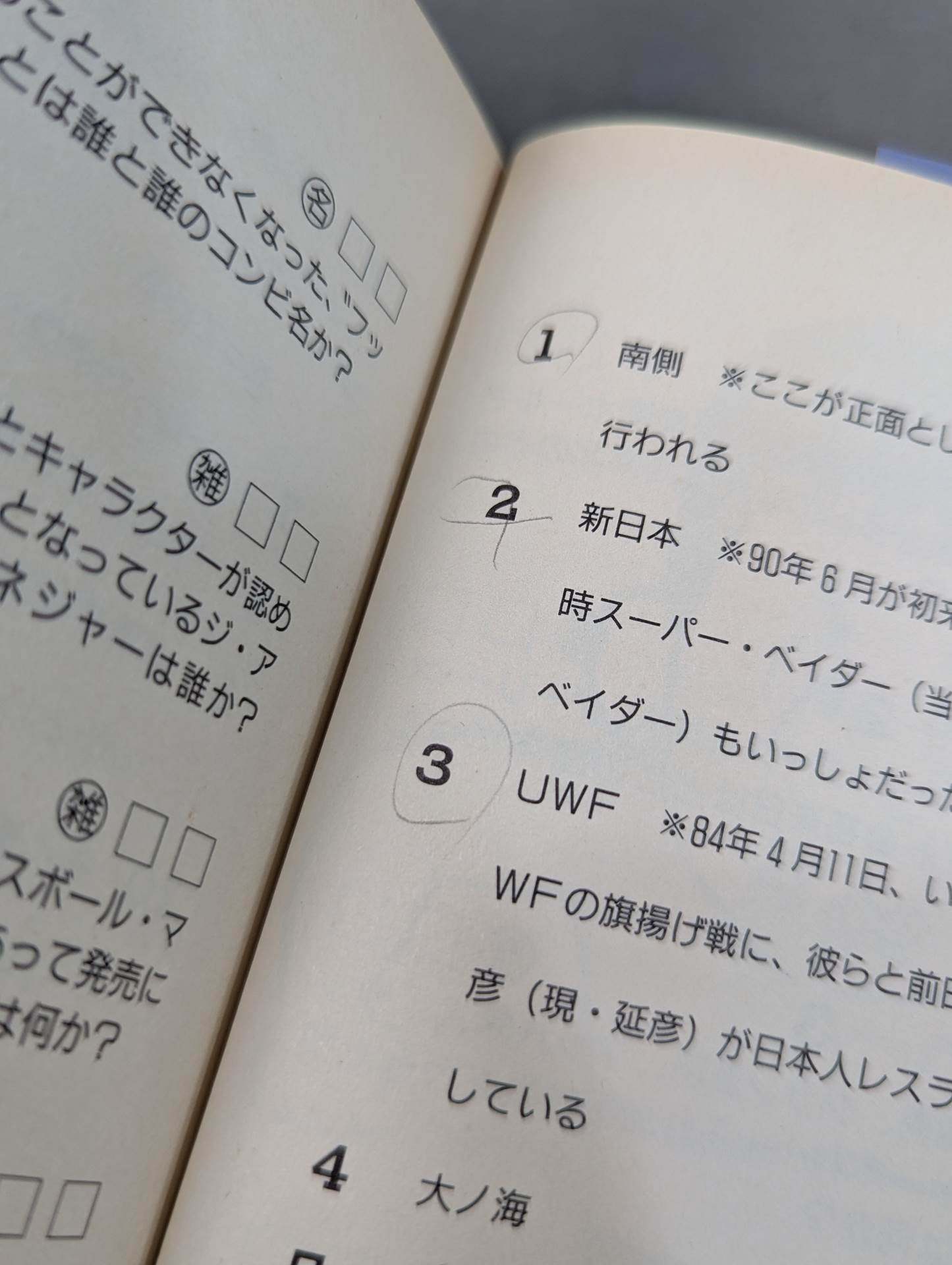 THEPro Wrestling Book No.9 Pro Wrestling Quiz 500 Questions
