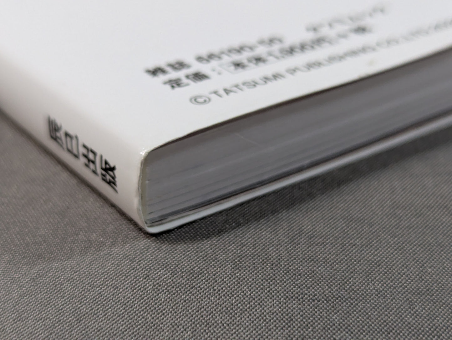 G SPIRITS ARCHIVES vol.2 Tokyo Pro Wrestling