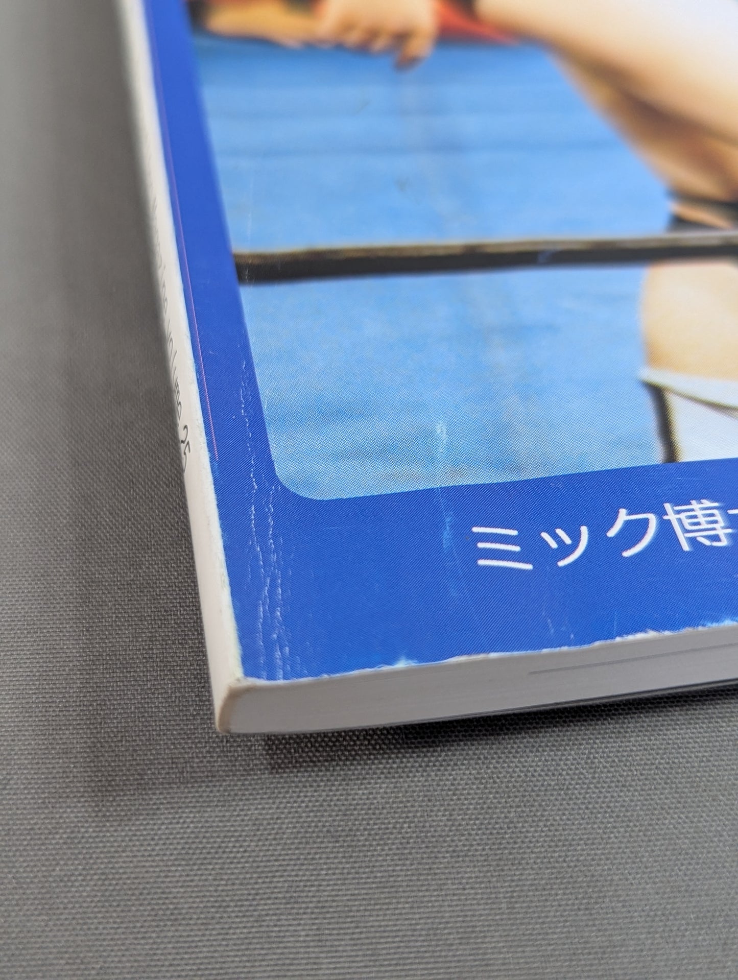 ミック博士の昭和プロレスマガジン第25号 / 特集 昭和57年・馬場と猪木の全面戦争