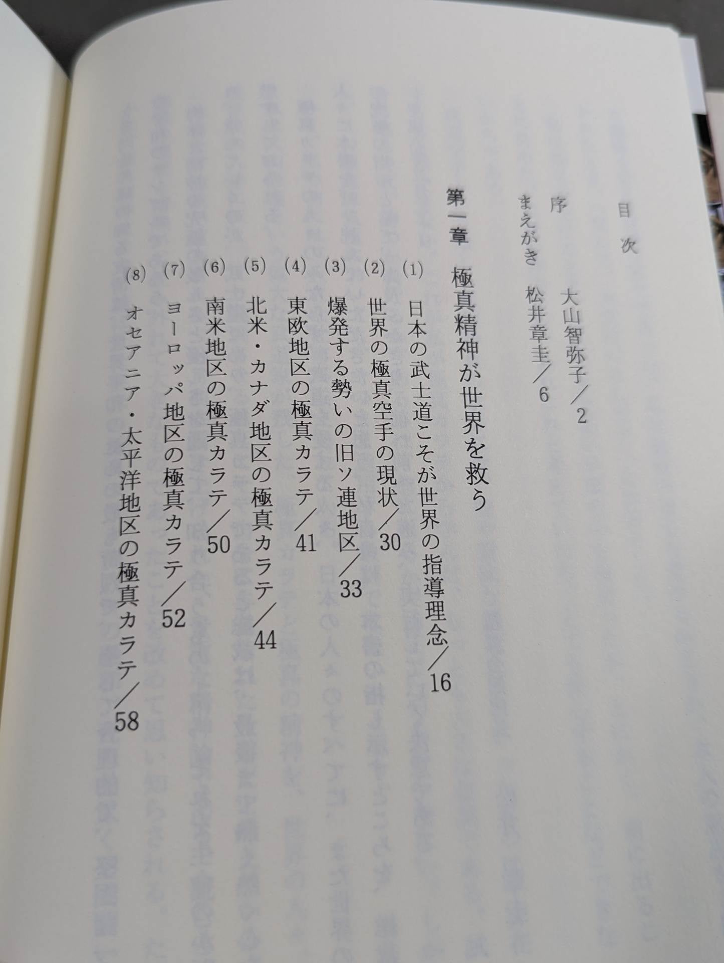 The spirit of Kyokushin What should martial arts be like in the future