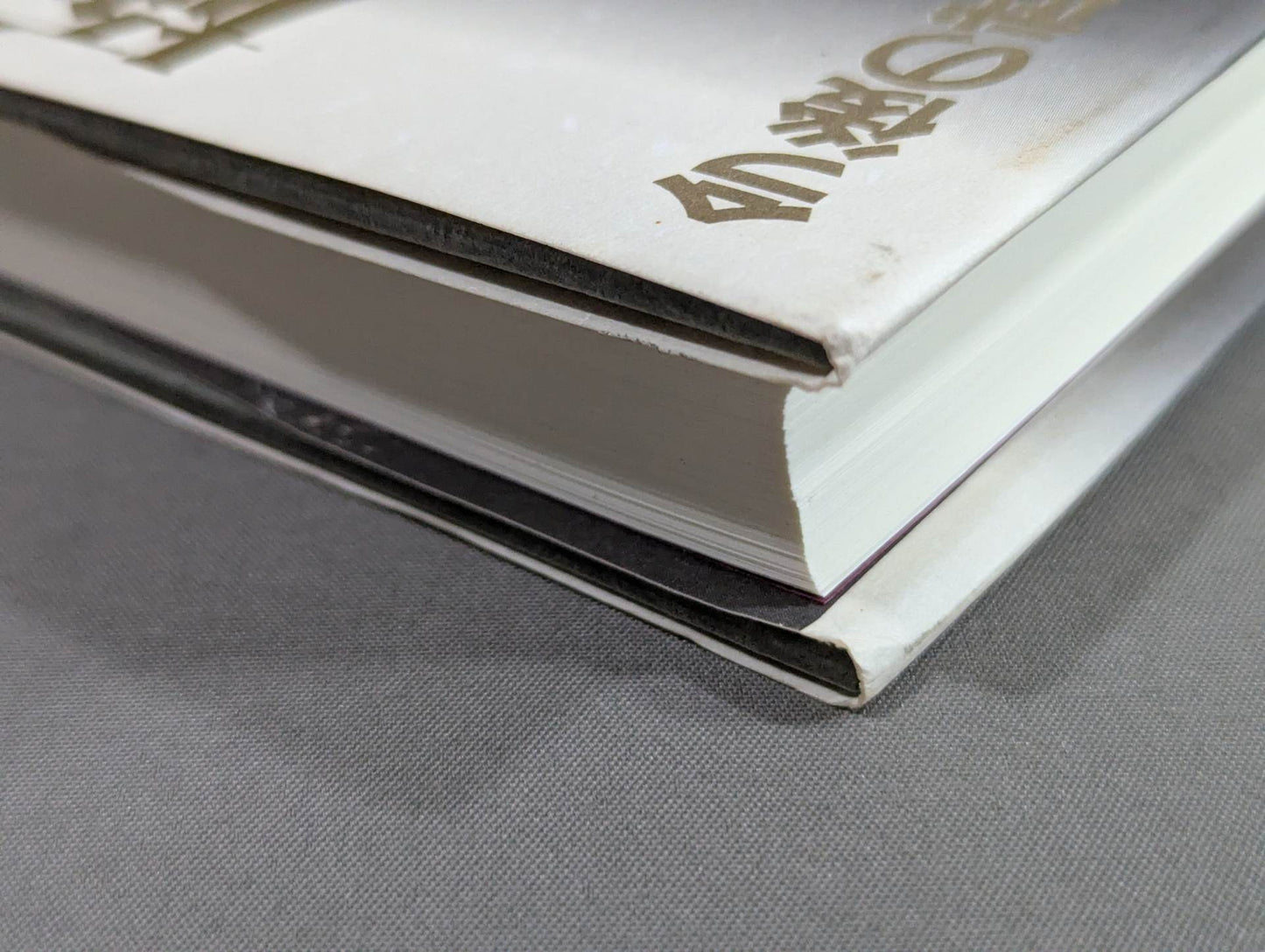 The spirit of Kyokushin What should martial arts be like in the future