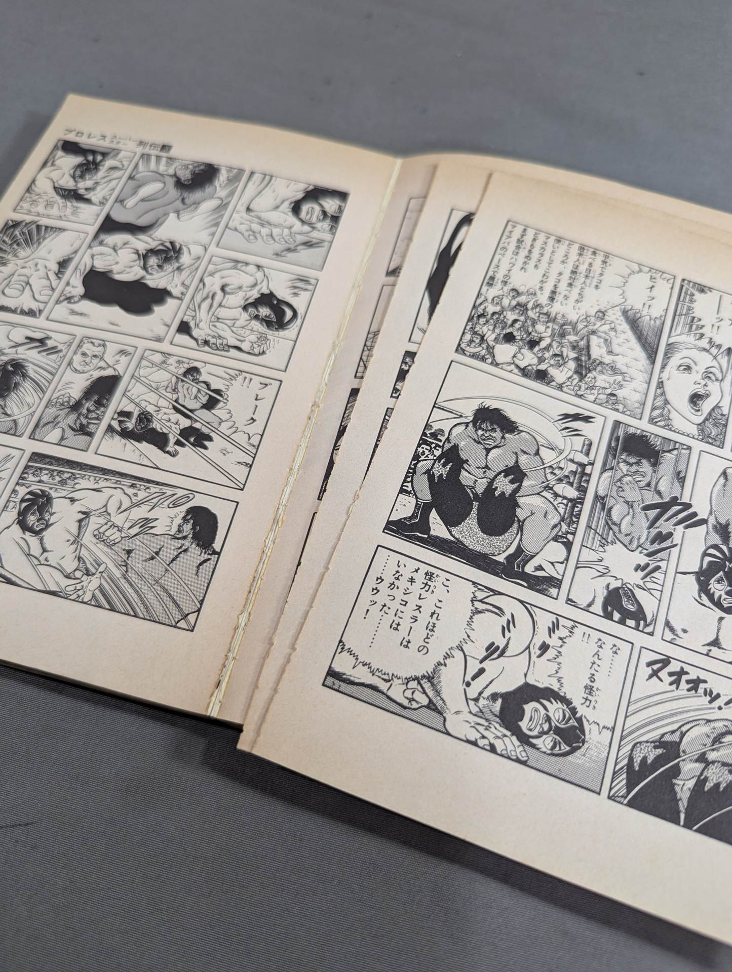 [Author's hand signed autograph, 17 volumes in total] Pro Wrestling Superstar Retsuden