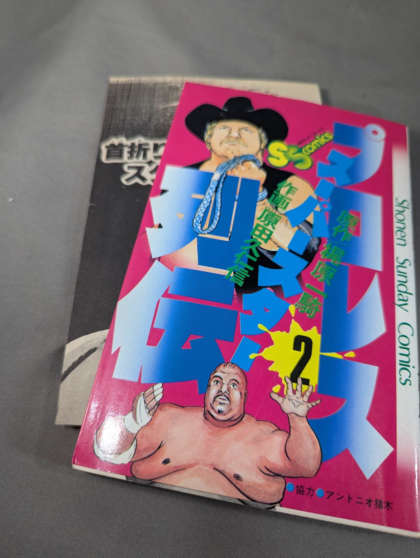 [Author's hand signed autograph, 17 volumes in total] Pro Wrestling Superstar Retsuden