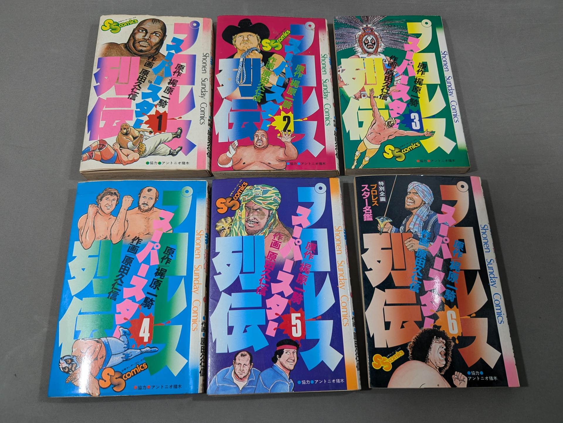 著者直筆サイン入り・全17巻セット】プロレス スーパースター列伝 – 闘道館