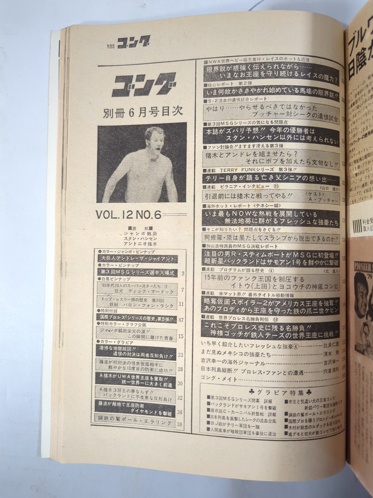 別冊ゴングVol.12 No.6