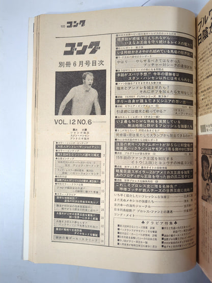 別冊ゴングVol.12 No.6