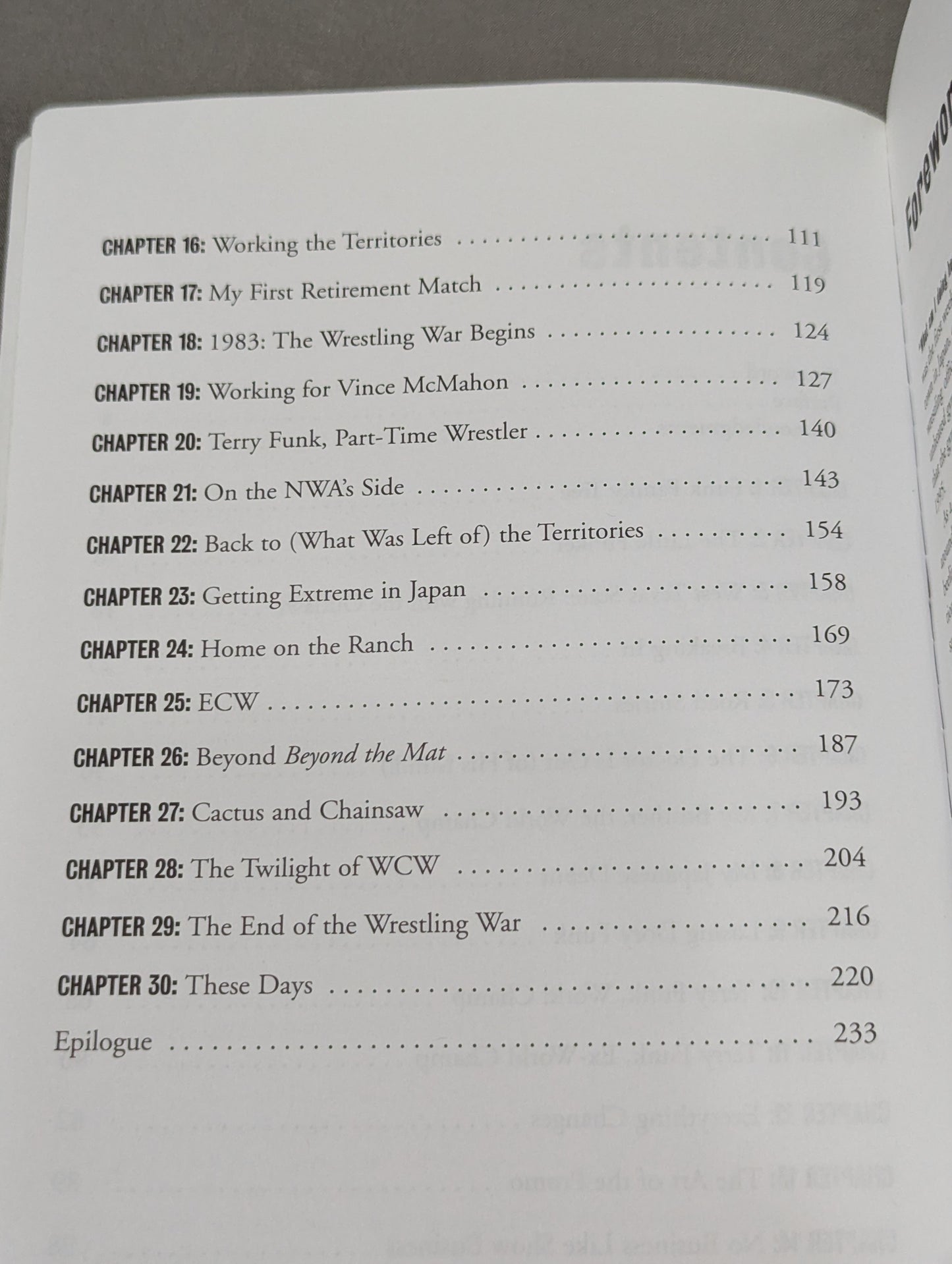 Terry Funk : More Than Just Hardcore