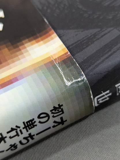 [Naoya Ogawa hand signed autograph ] "Is this a foul?" Against Shinya Hashimoto: Fighting Spirit Chronicle