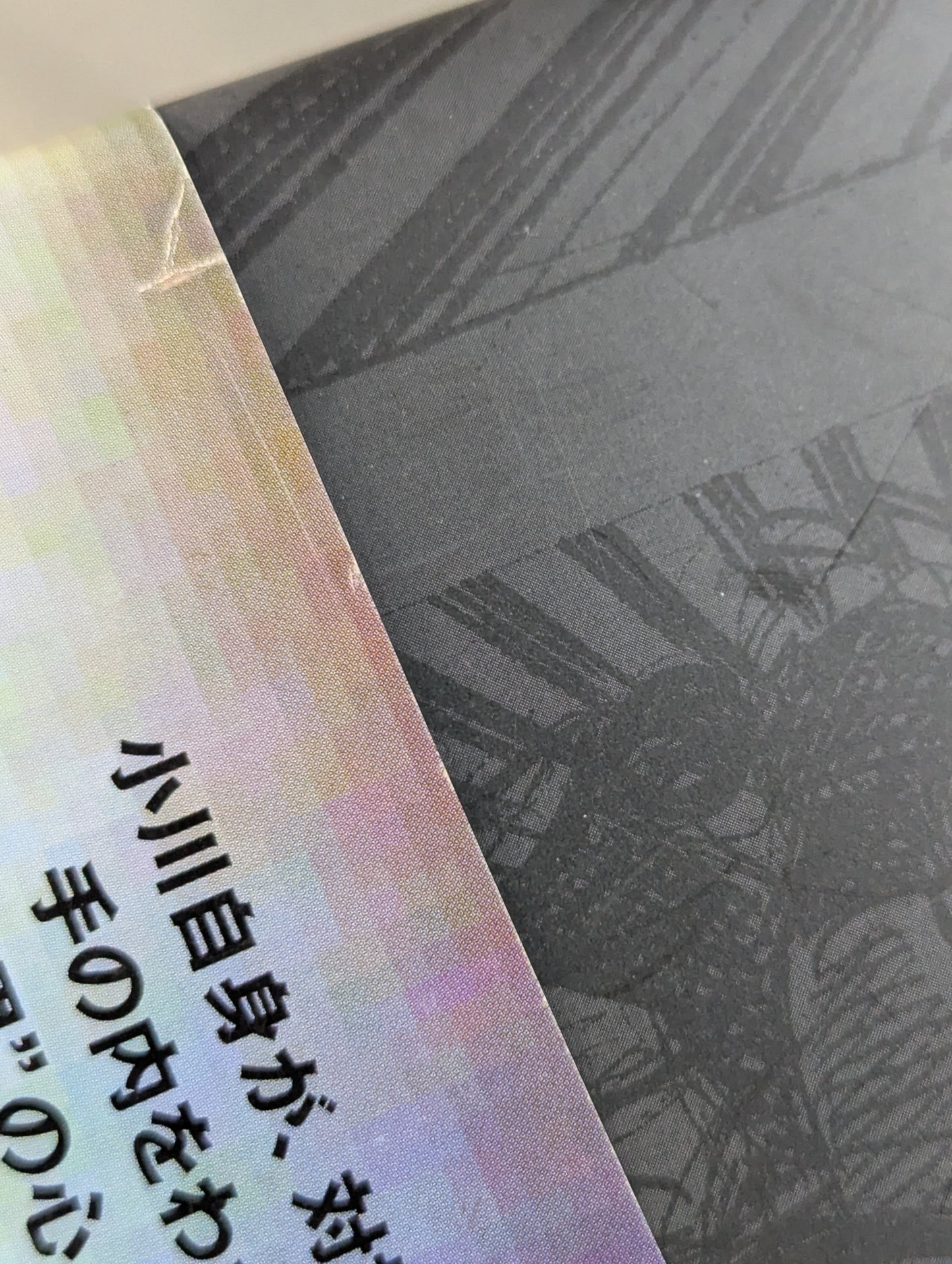 [Naoya Ogawa hand signed autograph ] "Is this a foul?" Against Shinya Hashimoto: Fighting Spirit Chronicle