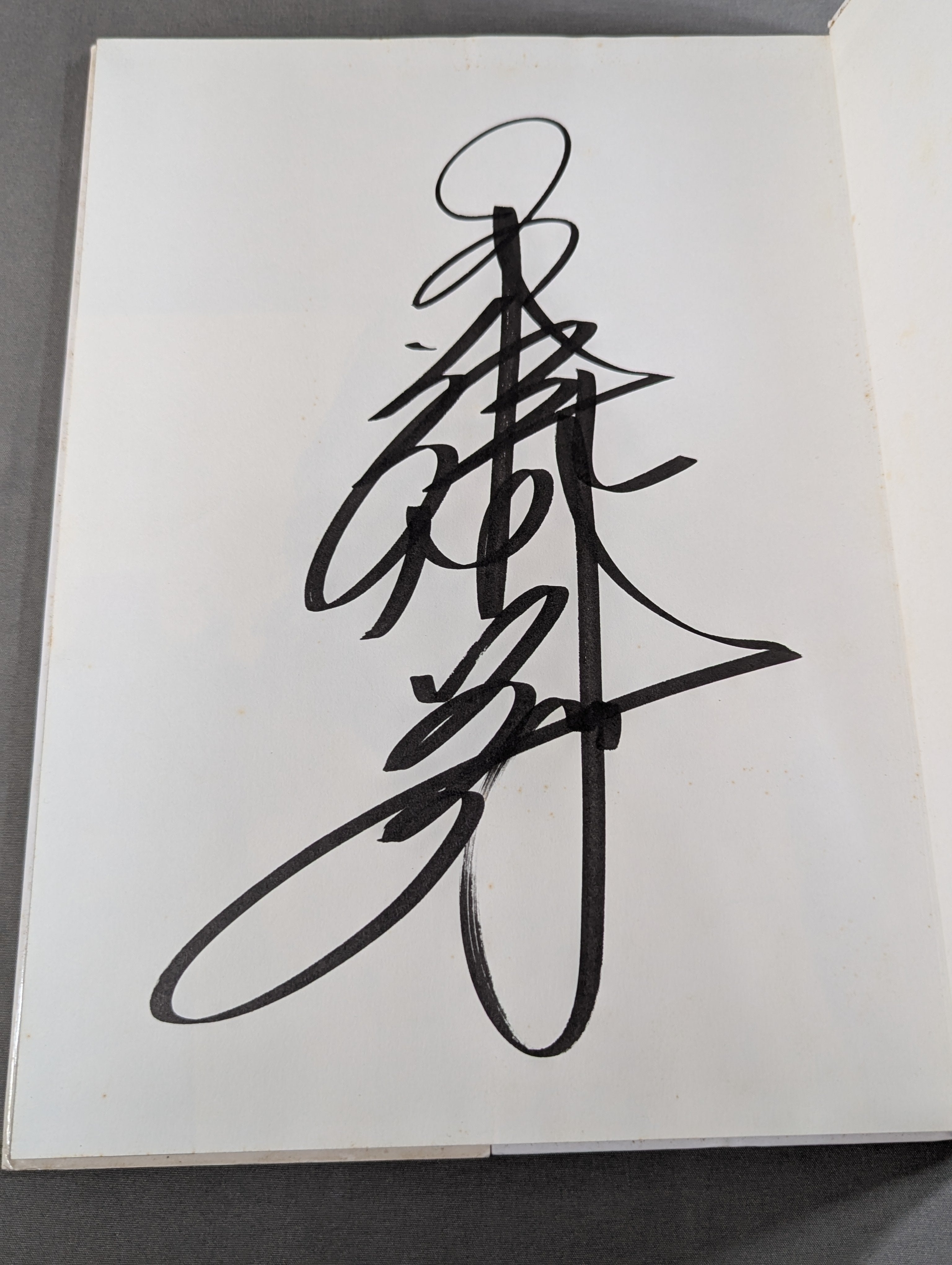 直筆サイン入り】工藤めぐみ 写真集 Stand Up – 闘道館