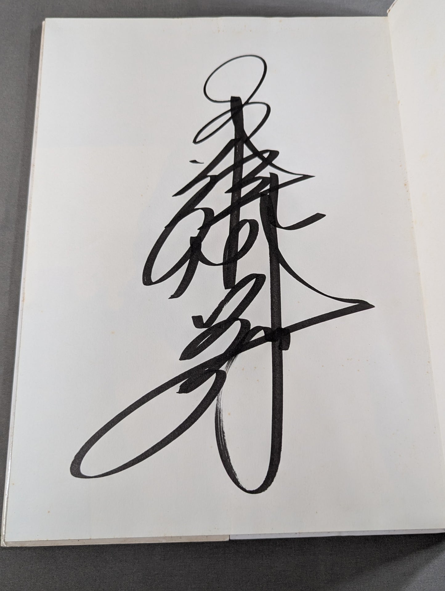 【直筆サイン入り】工藤めぐみ 写真集 Stand Up