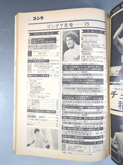 月刊ゴングVol.8 No.8