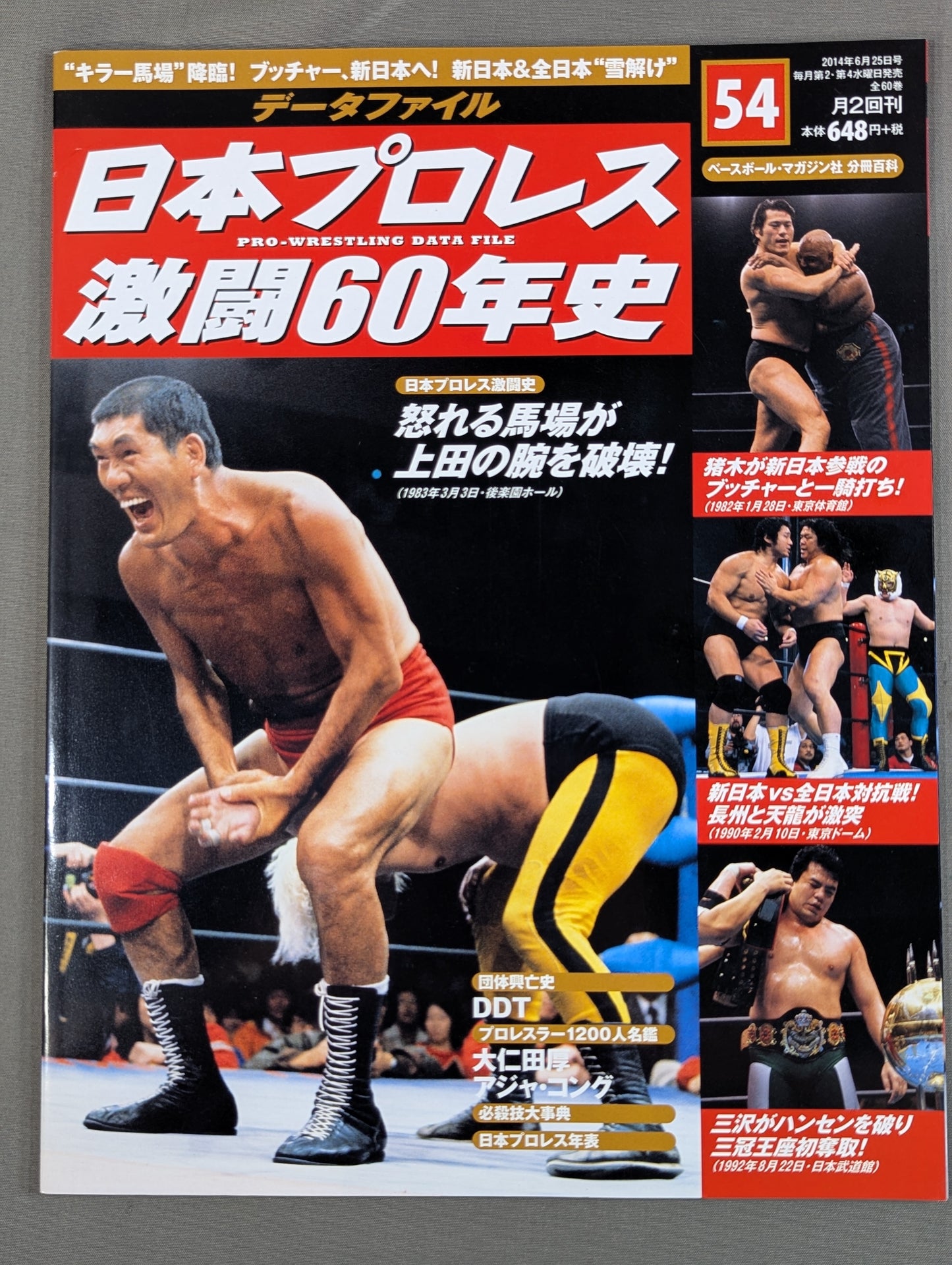 60 Years of Japan Pro Wrestling (54)