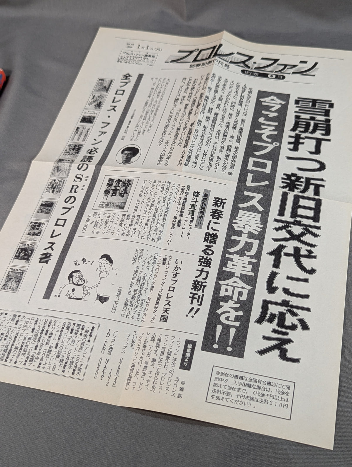 [Includes Special Edition of Pro Wrestling Fan Edition] Ikasu Pro Wrestling Heaven