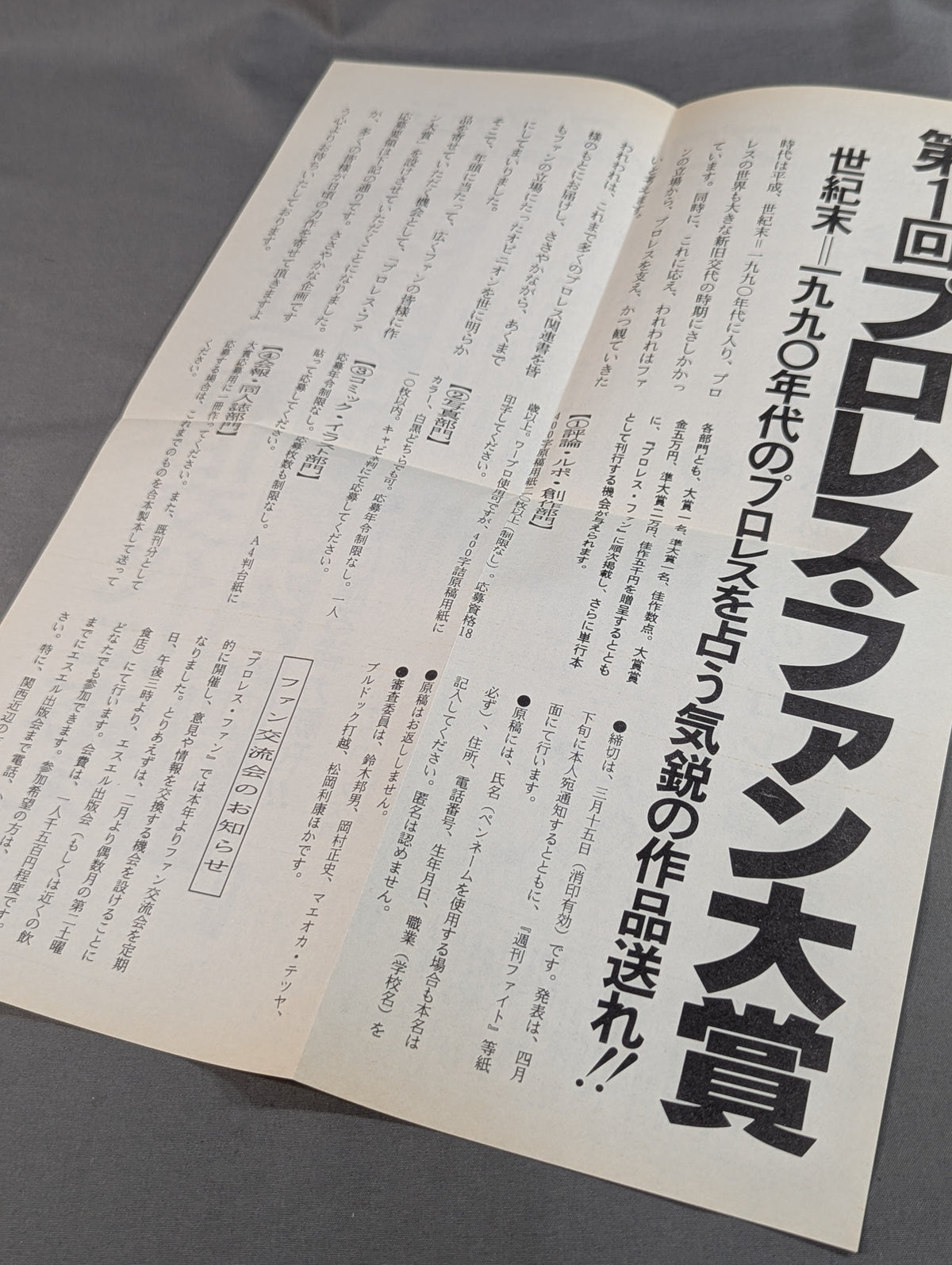 [Includes Special Edition of Pro Wrestling Fan Edition] Ikasu Pro Wrestling Heaven