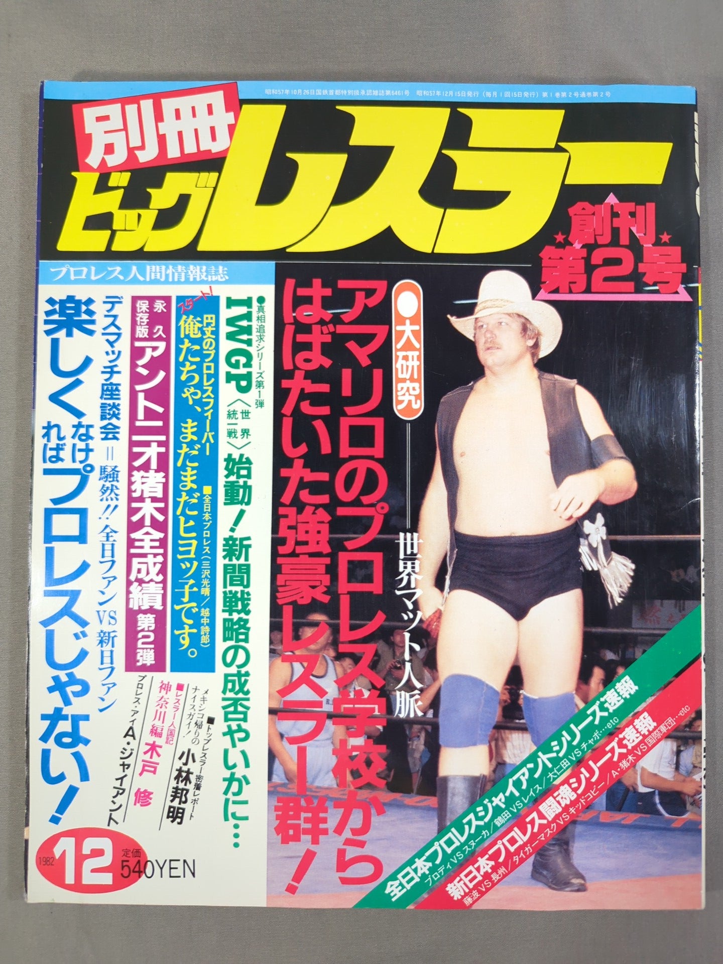 月刊ビッグレスラー 1982年12月号別冊