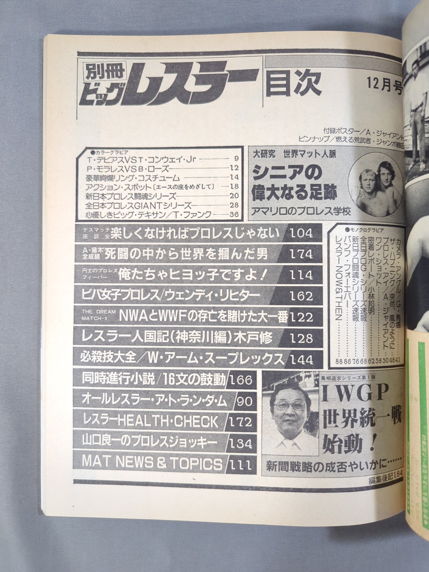 月刊ビッグレスラー 1982年12月号別冊
