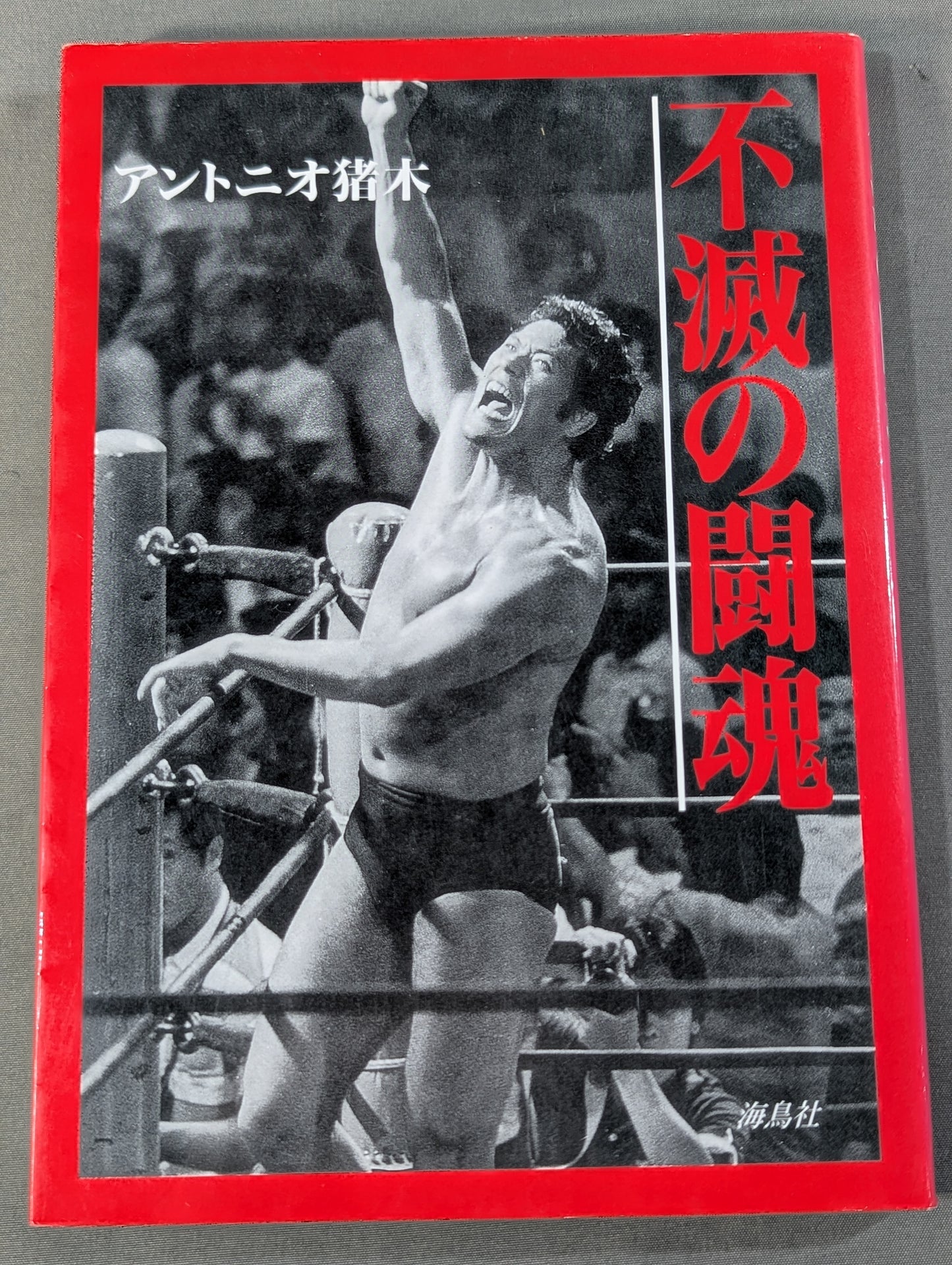Immortal Fighting Spirit