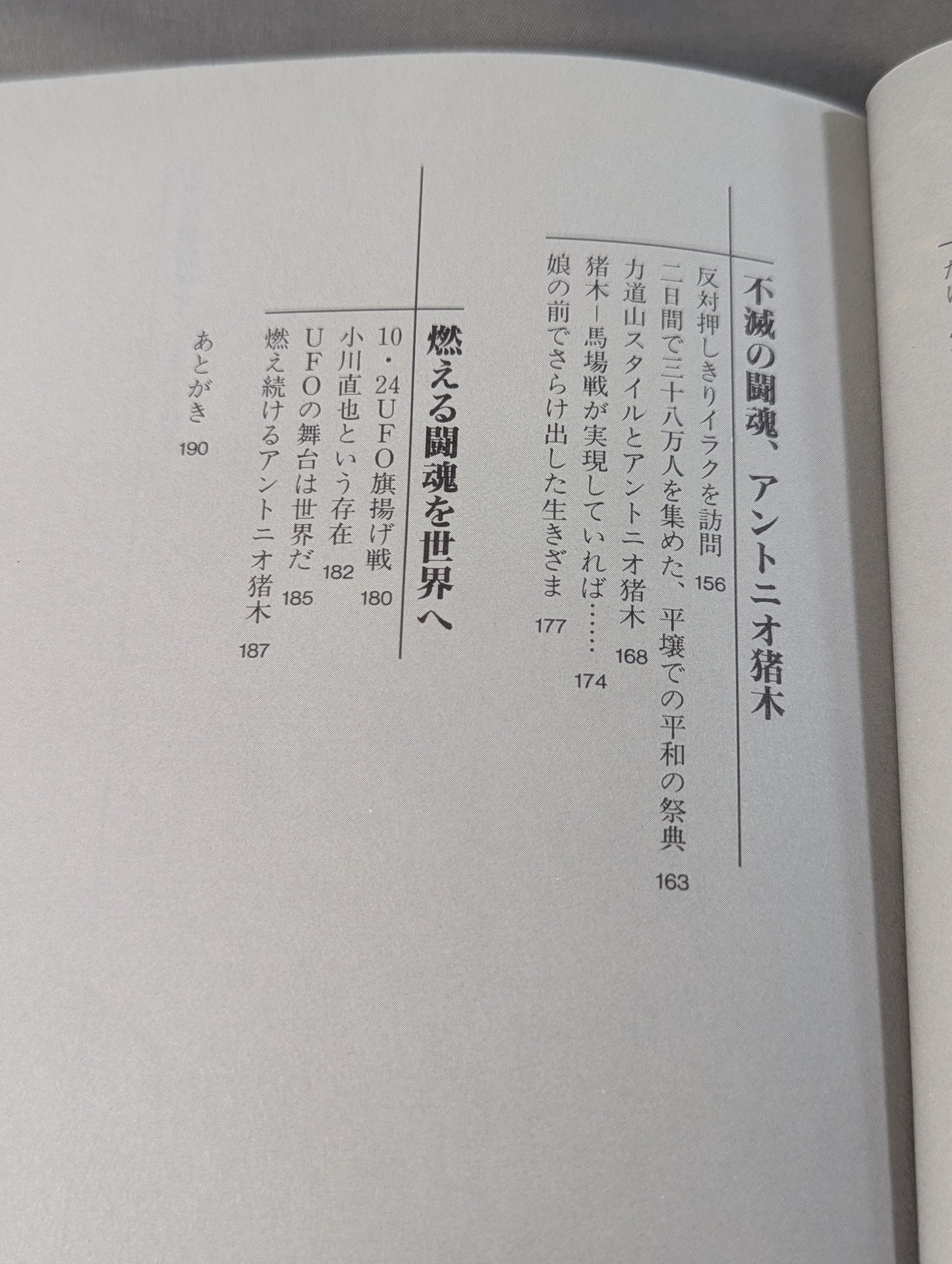 Immortal Fighting Spirit